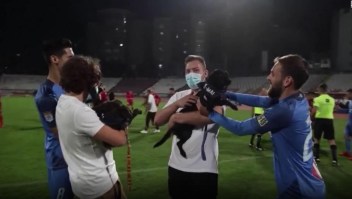 Estos perros llegan al corazón del fútbol en Rumania