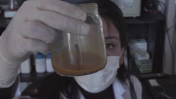 Una bacteria "se come" los residuos mineros en Chile