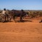 Madagascar, al borde de la hambruna por el cambio climática