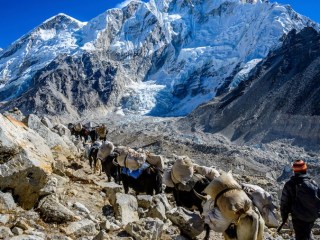 Peana tallada curva grande – Tienda Himalaya