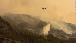 Los incendios resultan devastadores para los árboles en California