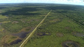 Surgen nuevos detalles de los movimientos de Brian Laundrie mientras las autoridades encuentran un campamento reciente en una reserva de Florida