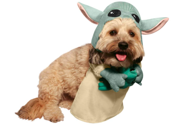 de LKN Disfraz para mascotas ideal para fiestas de Halloween y Navidad para gatos y perros