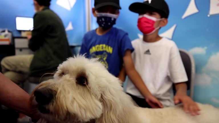 Un perrito ayuda con la vacunación de niños en California