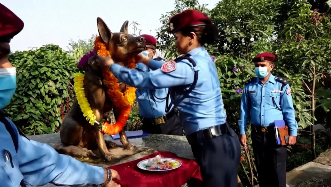 Así honran y festejan a la policía canina en Nepal