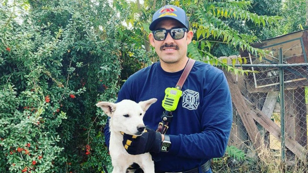 This is how California firefighters rescue a trapped dog