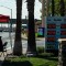 Precios de gasolina afectan viajes de Acción de Gracias