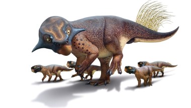 Conoce lo último en las investigaciones sobre el aspecto de los dinosaurios