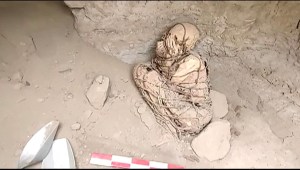 Descubren en Perú a momia de 800 años