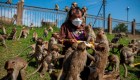 Festival ofrece pasar un día rodeado de monos