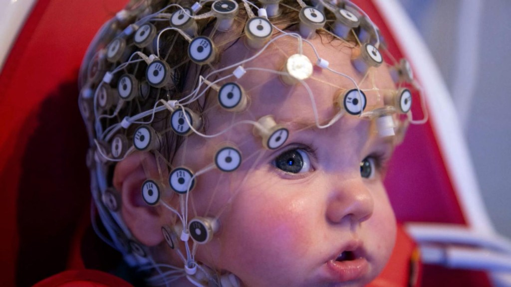 Jak będzie wyglądał przyszły umysł?  Neurolog wyjaśnia
