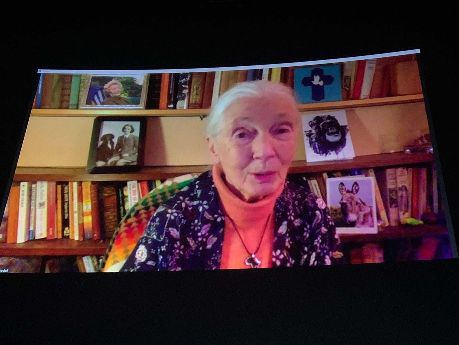 Jane Goodall hablando vía Zoom en la COP26. CNN