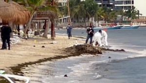 Huésped relata lo que alcanzó a ver del tiroteo en hotel cerca de Cancún