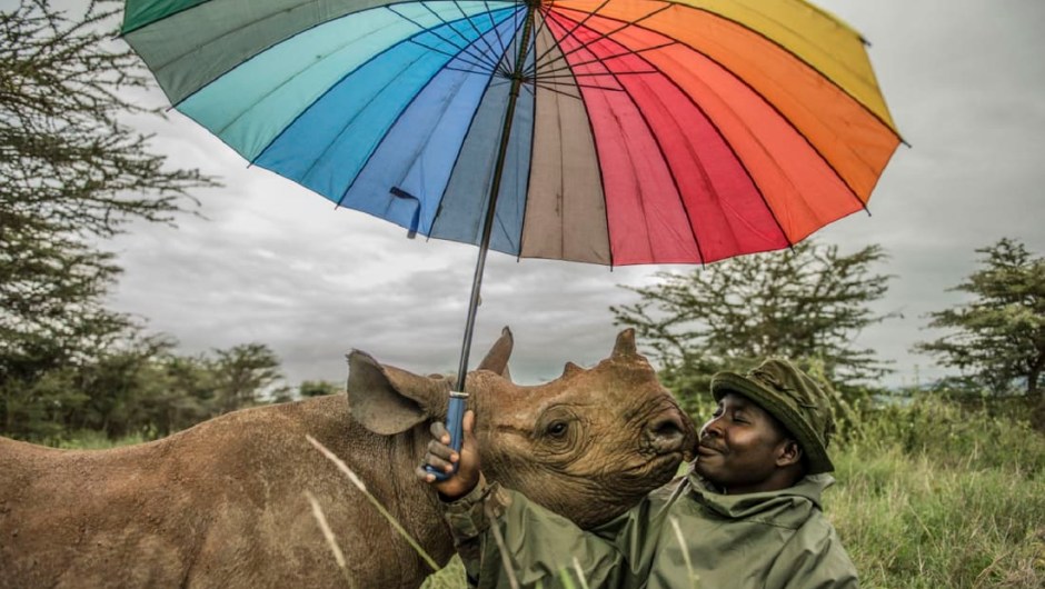 foto rinoceronte Ami Vitale