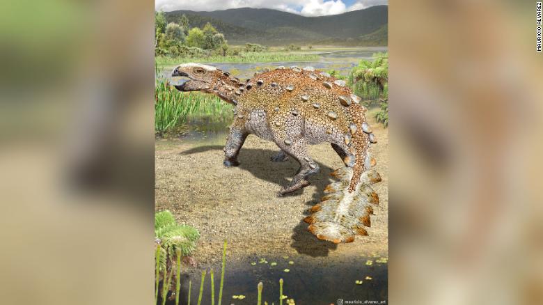 Descubren un nuevo dinosaurio acorazado en Chile