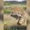 dinosaurio Chile
