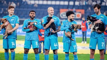 Futbolistas del Zenit llevaron cachorros a la cancha