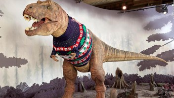 Este dinosaurio de un famoso museo está listo para Navidad