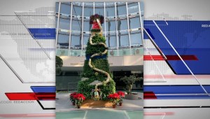El polémico árbol de navidad Senado México