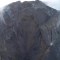 Mira cómo se abren grietas en el volcán en La Palma
