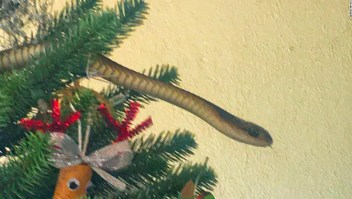 serpiente Navidad