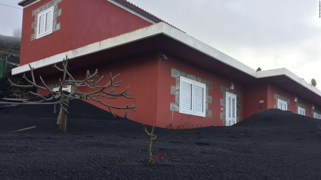 Una imagen de esperanza dentro de tragedia en La Palma