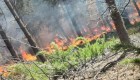 Mira los incendios forestales en la Patagonia argentina