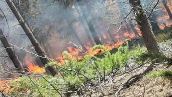 Mira los incendios forestales en la Patagonia argentina