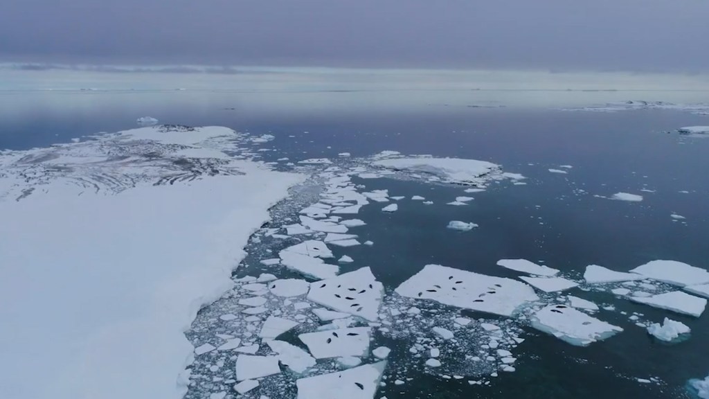 Un megaglaciar de la Antártida tiene una enorme grieta y podría causar una tragedia global en 5 años, según expertos