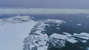 Un megaglaciar de la Antártida tiene una enorme grieta y podría causar una tragedia global en 5 años, según expertos