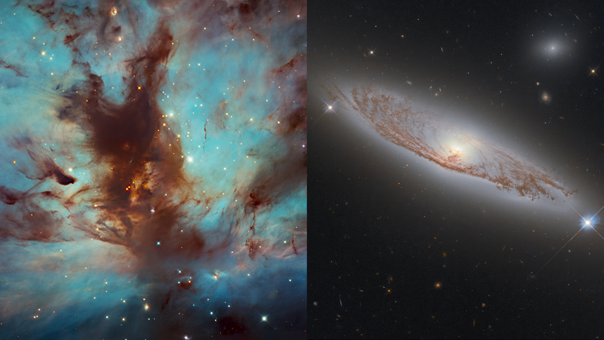 Impedir Locomotora equipo Las mejores fotos del telescopio Hubble en 2021 | Video