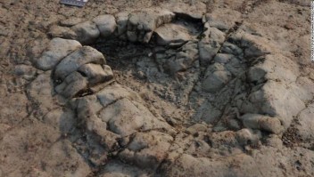 Descubren huellas de dinosaurios en Gales