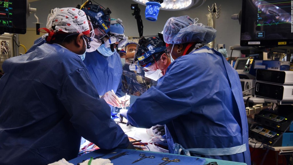 Realian primer trasplante de corazón de cerdo modificado