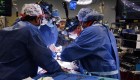 Realizan primer trasplante de corazón de cerdo modificado