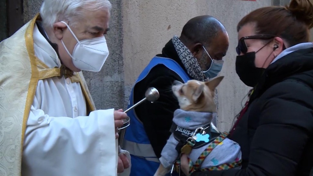 Mascotas reciben la bendición en el día de San Antón