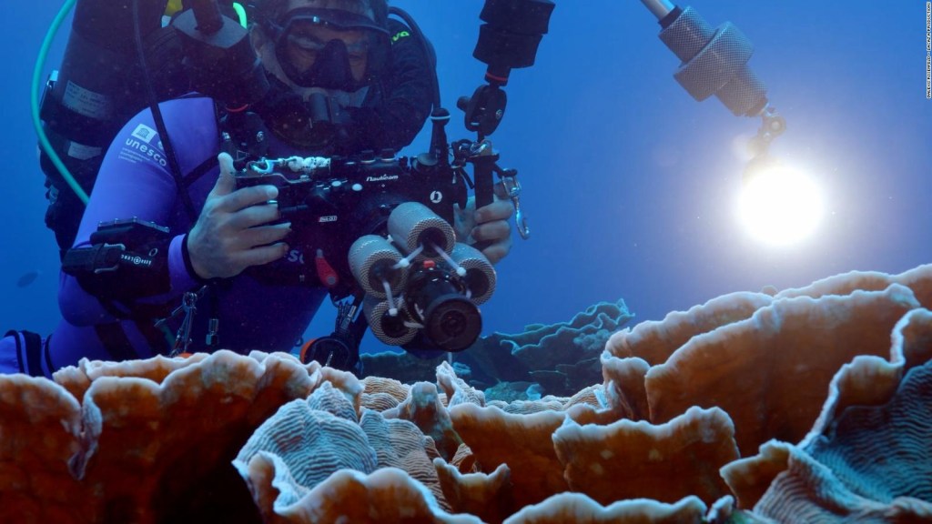 Descubren un gigantesco arrecife de coral frente a la Polinesia Francesa