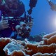 Descubren un gigantesco arrecife de coral frente a la Polinesia Francesa