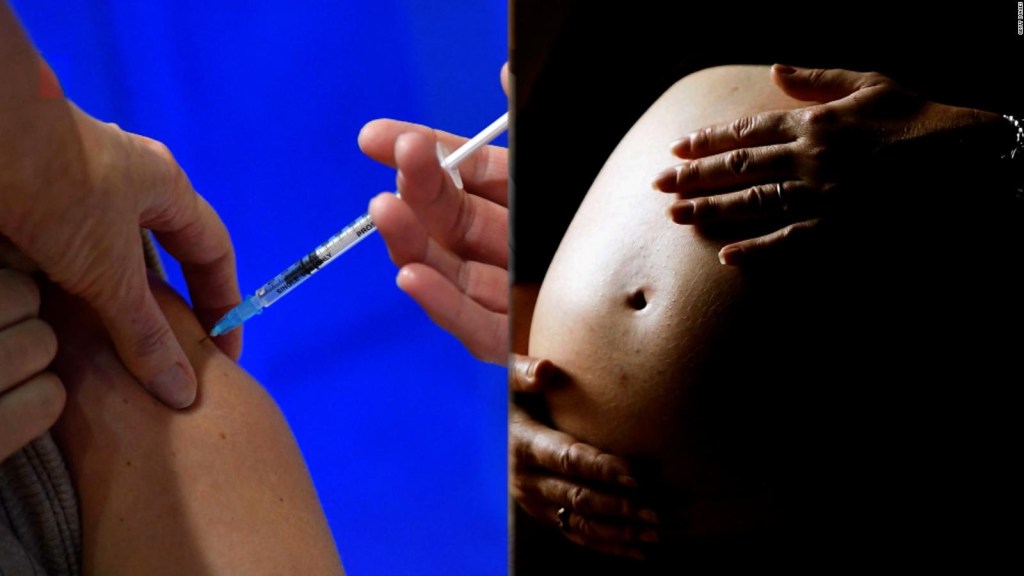 Do covid-19 vaccines affect fertility?