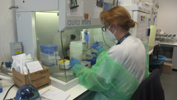 Los "guardianes" del covid-19: así trabaja un laboratorio de microbiología