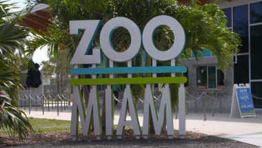 Animal porn i in Miami