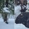 Un perro perdido durante cuatro meses fue encontrado vivo en la nieve y se reunió con su dueño