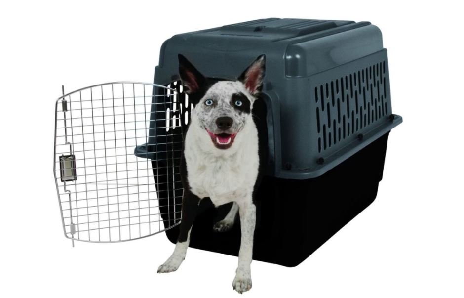 Jaulas y Transportadoras para Perros