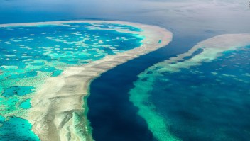 El misterioso mundo oculto bajo la Gran Barrera de Coral