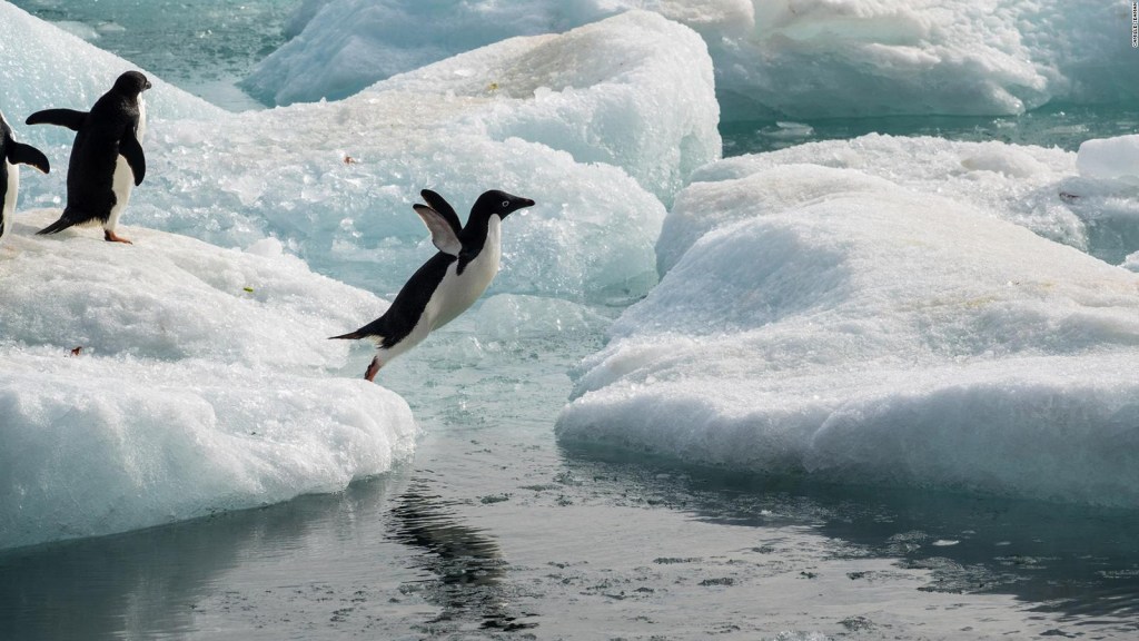 Se perfila un récord alarmante en la Antártida en 2022