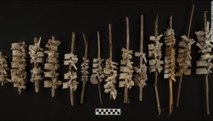 Columnas vertebrales ensartadas en postes encontradas en Perú