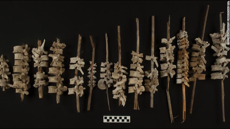 Columnas vertebrales ensartadas en postes encontradas en Perú