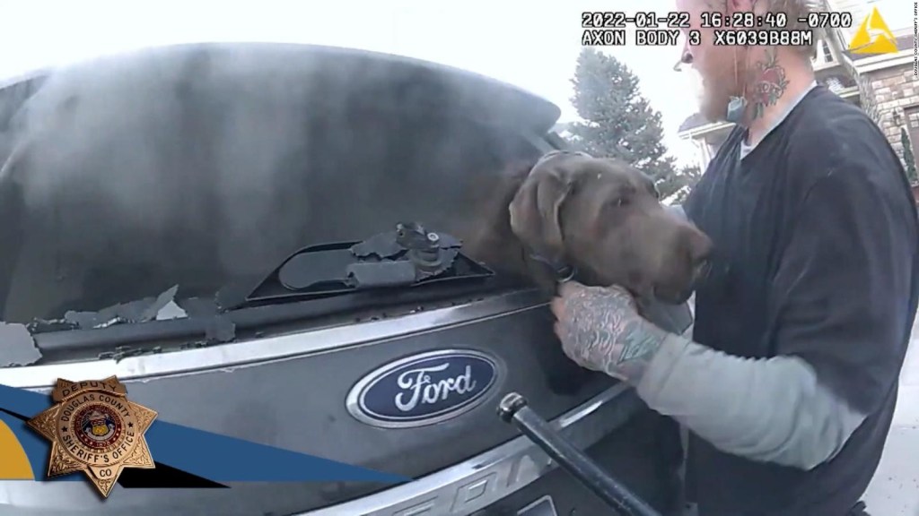 Braving the fire, they fight to save a dog inside a burning car