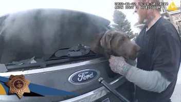 Desafiando el fuego, luchan por salvar a un perro adentro de auto en llamas