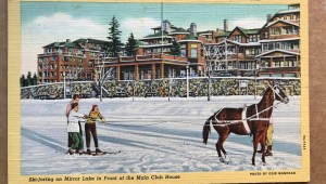 Skijoring, la mezcla de caballos y esquís