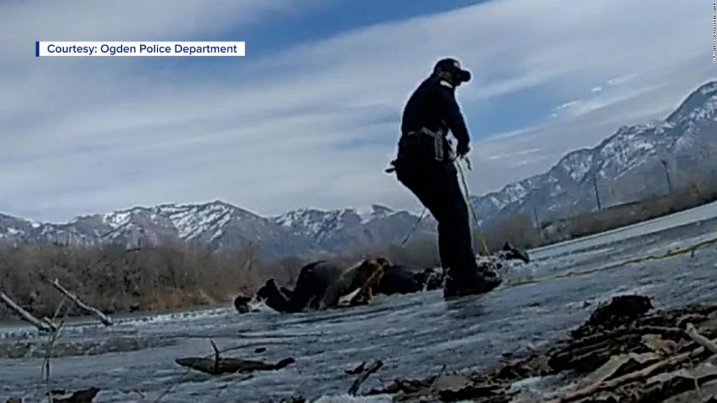 Policemen fall into a frozen pond in full rescue